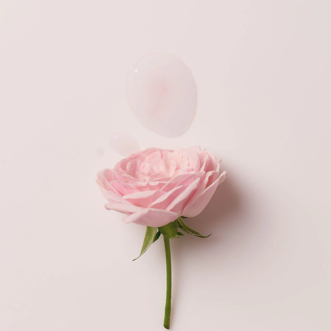 SIORIS Falling Into The Rose Mist