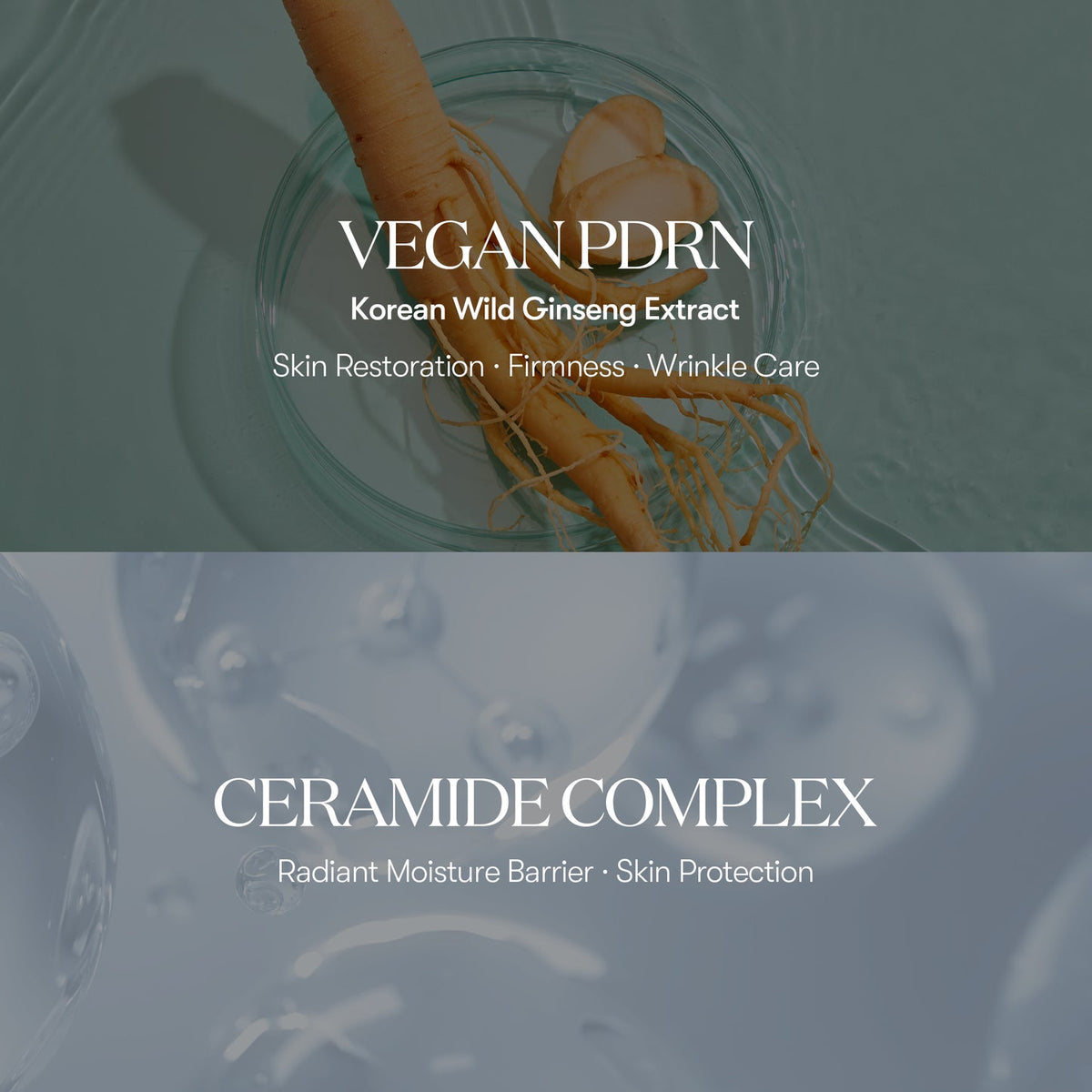 VT PDRN Reedle Glow Ampoule