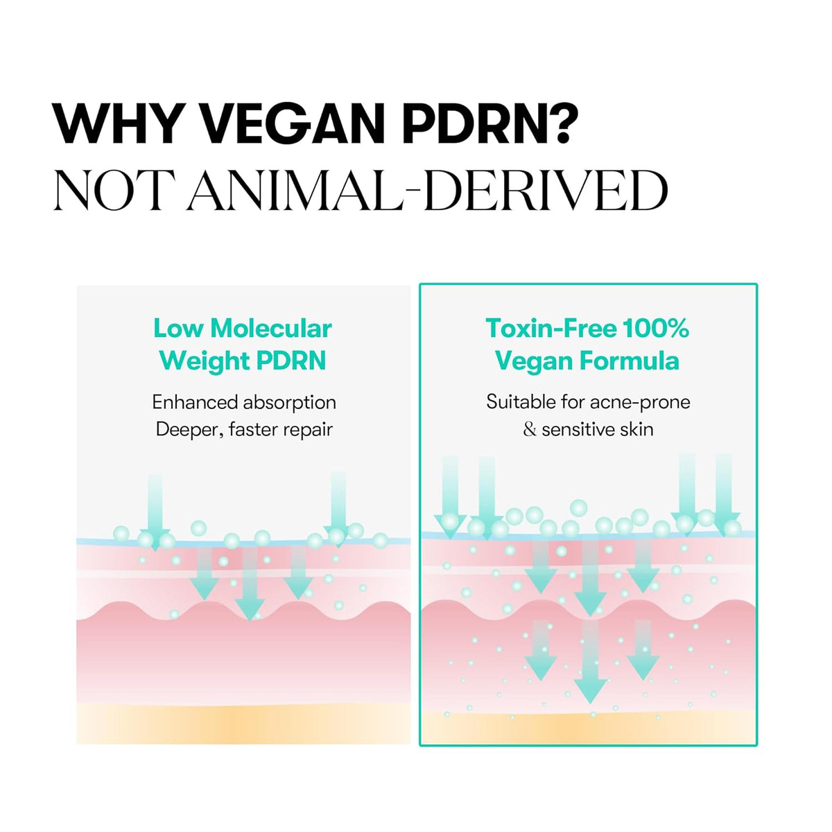 VT PDRN Capsule Cream 100
